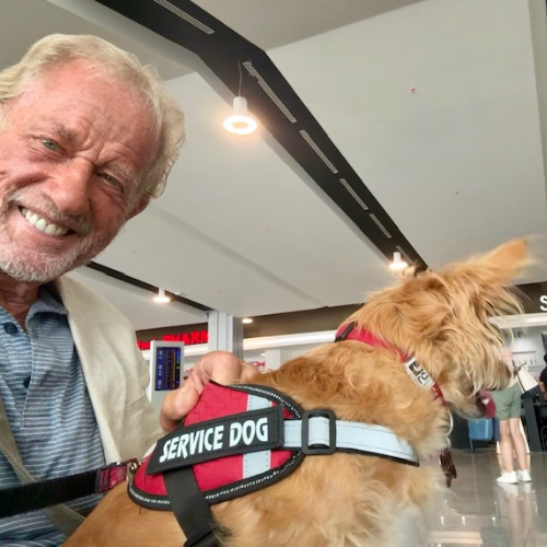 David et son chien