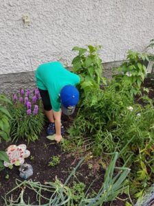 12 year old Will gardening 